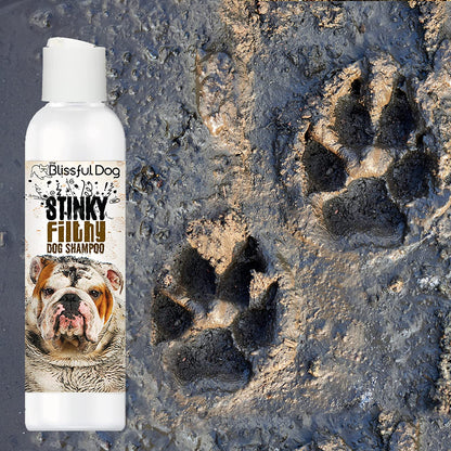 Stinky Filthy Dog Shampoo