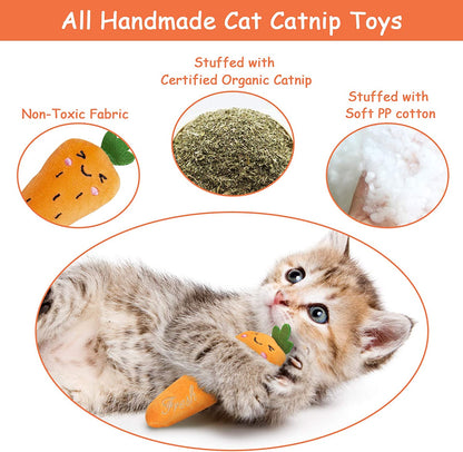 Catnip Toys, Cat Toys, Cat Toys for Indoor Cats, Catnip Toys for Cats, Cat Toys with Catnip, Interactive Cat Toy, Cat Chew Toy, Cat Pillow Toys, Cat Toys for Kittens Kitty